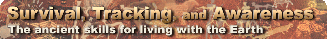 Survival Courses near Sydney and the Blue Mountains NSW - Bush Survival, Wilderness Survival