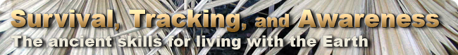Wilderness Survival, Tracking, and Awareness