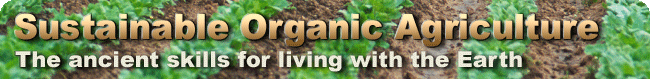 Wilderness Survival, Tracking, and Awareness
