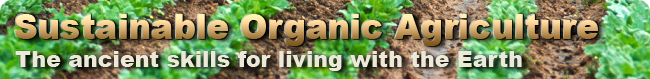 Wilderness Survival, Tracking, and Awareness