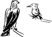 How to Find Water - Finding Water - Wilderness Survival - Grain Eaters