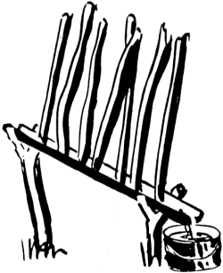 How to Find Water - Finding Water - Wilderness Survival - Collection of Water From Plants