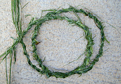 How To Make Cordage from Mat Rush -  Finished Cordage