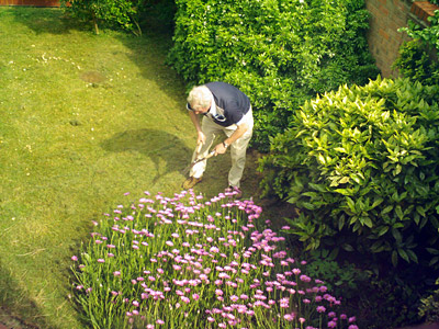 The Psychology of Gardening