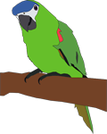 Australian Bird Quiz