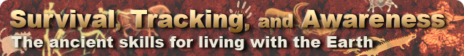Rewilding Skillshares - Hosted monthly by ReNourish ReWild and Wollemi Common