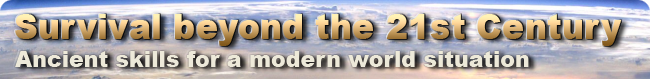 EMP - Preparing for an EMP (Electromagnetic Pulse)