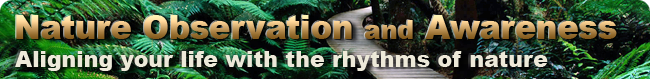 Wilderness Survival, Tracking, and Awareness