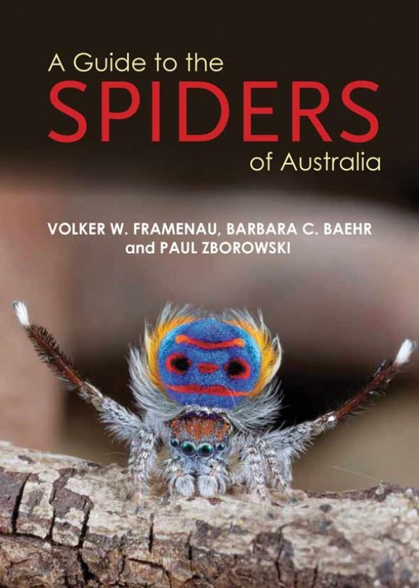 A Guide to the Spiders of Australia, by Volker W. Framenau, Barbara C. Baehr, and Paul Zborowski - Peacock Spider - Maratus volans