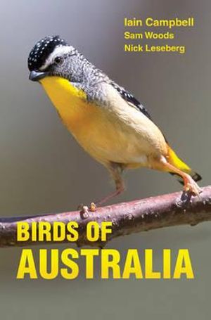 Birds of Australia: A Photographic Guide, by Iain Campbell, Sam Woods, Nick Leseberg, Geoff Jones (Photographer) - Little Pied Cormorant - Phalacrocorax melanoleucos