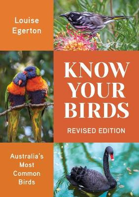 Know Your Birds, by Louise Egerton - Bell Miner - Bellbird - Bell Bird - Manorina melanophrys
