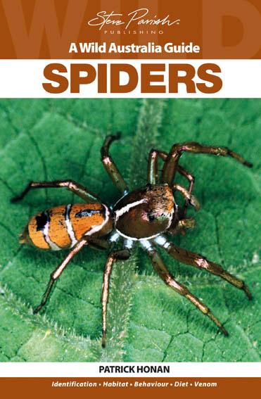 Spiders: A Wild Australia Guide, by Patrick Honan - Sydney Funnel Web Spider - Atrax robustus