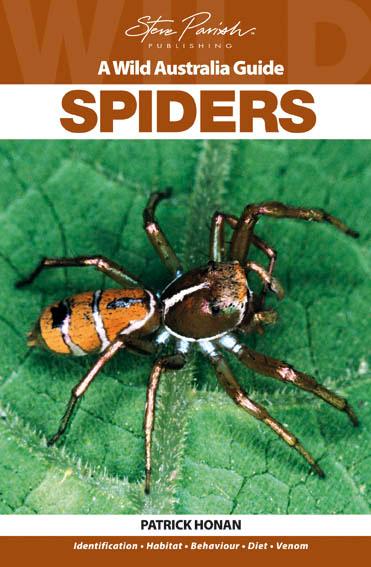 Spiders: A Wild Australia Guide, by Patrick Honan - Peacock Spider - Maratus volans