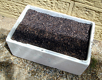 The Box Vegie Garden - Planted