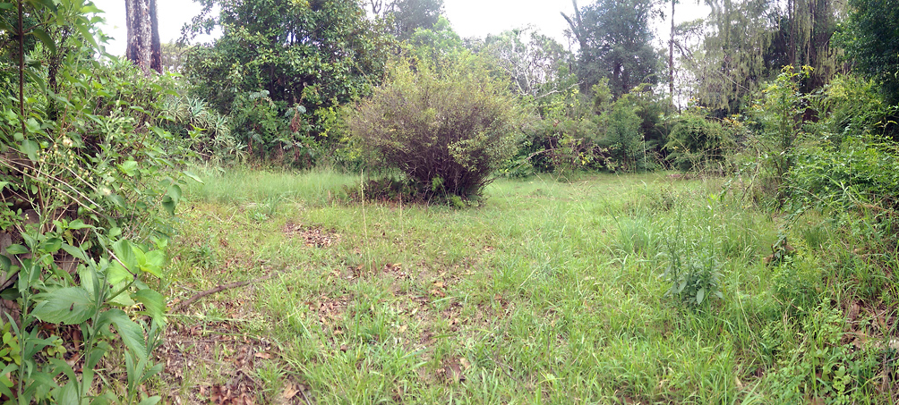 Finding a Secret Spot - Secret Place - Sit Spot - Sacred Place - Nature Awareness