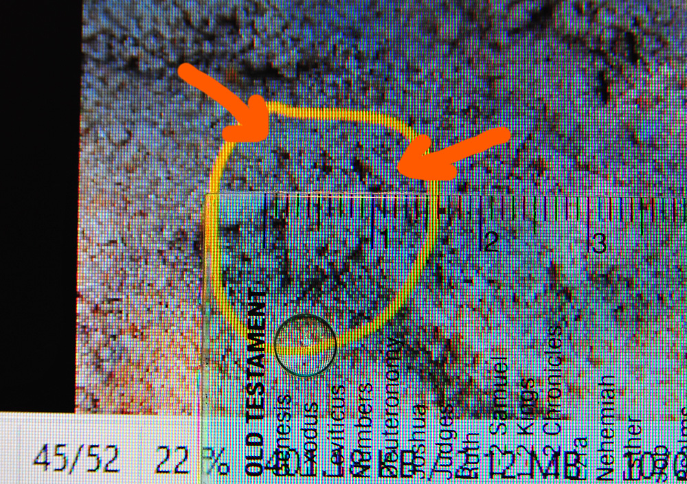 With the same zoom setting, the claw marks spread across 1 centimetre - Make an Instant Tracking Box to Learn Animal Tracking - Survival.org.au